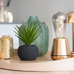 Amazing And Perfectly Situated *