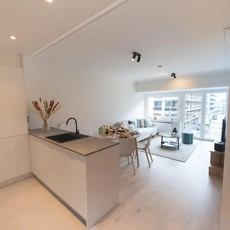 Amazing And Perfectly Situated Nieuwpoort